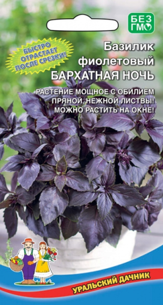 bazilik-fioletovyy-barhatnaya-noch