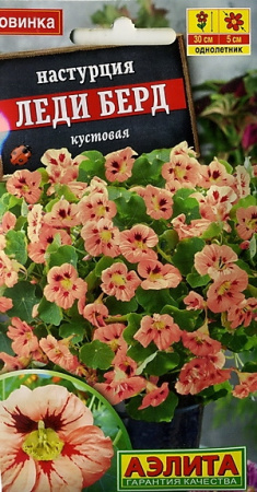 1008