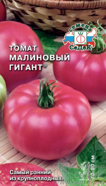 1236