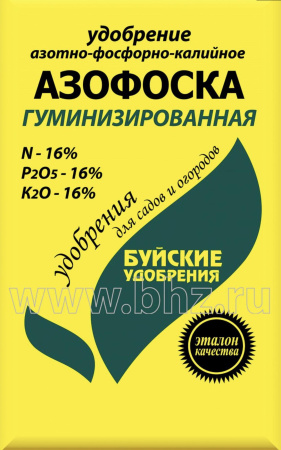 IMG-7743