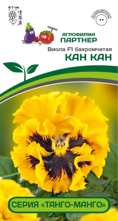 виола кан кан партнер