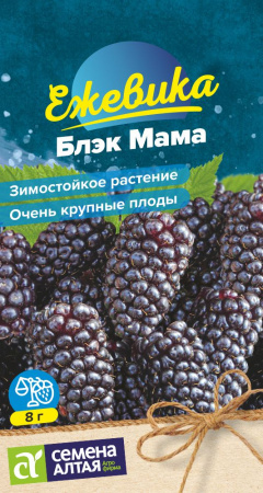 00_00033956