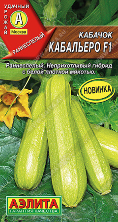 кабачок
