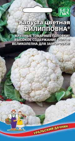 филлиповна