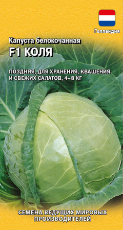 Коля