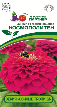 Цинния КОСМОПОЛИТЕН Партнер