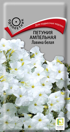 лавина