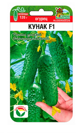 Огурец Кунак