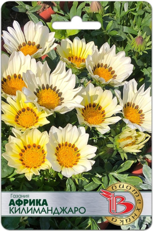 BCBBE238-2420-449B-B553-1CAB1997EDD5