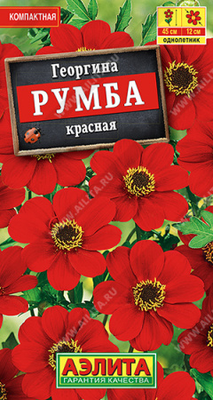 Георгина Румба красная аэлита