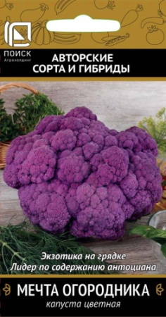 Kapusta cvetnaya MECHTA OGORODNIKA Av