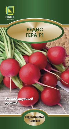 redis_gera