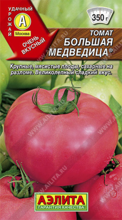 большая медведица