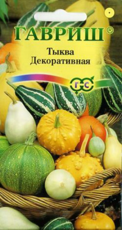 тыква декоративная гавриш