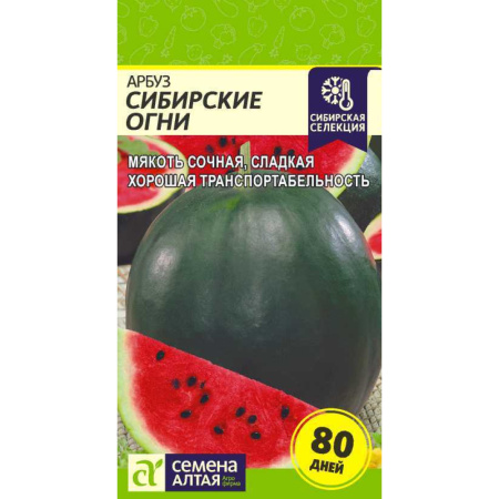 сибирские огни