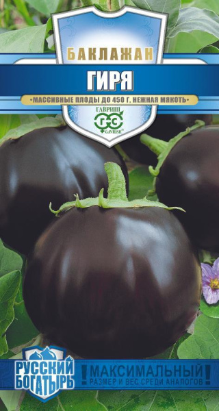 Баклажан Гиря гавриш