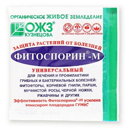 IMG-9820