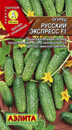 Русский экспресс