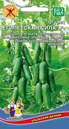 Огурец салатного типа ЕГИПЕТСКАЯ СИЛА урал.дач
