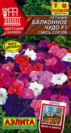 Петуния Балконное чудо аэлита
