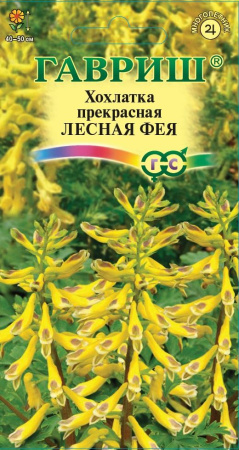 2532