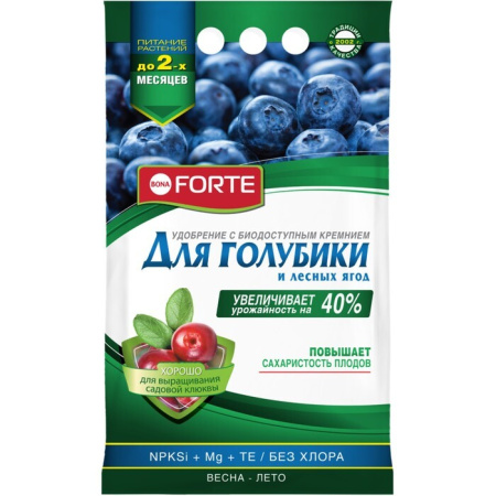 голубика
