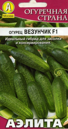 везунчик