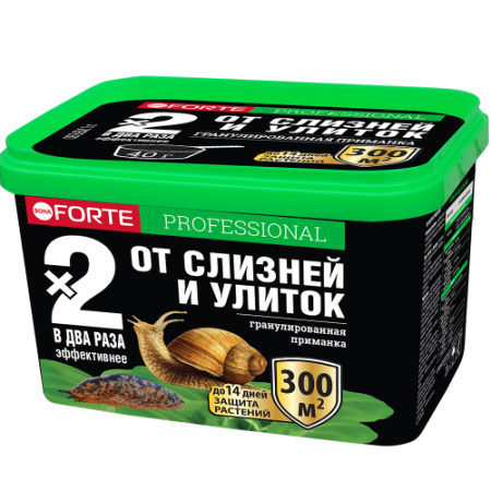 IMG-5899