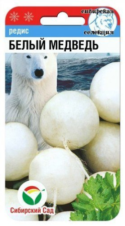 бел медведь