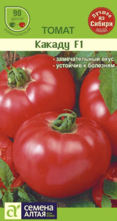 IMG-1092