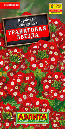 Вербена Гранатовая звезда аэлита