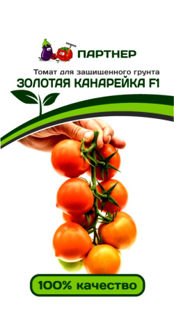 золотая канарейка