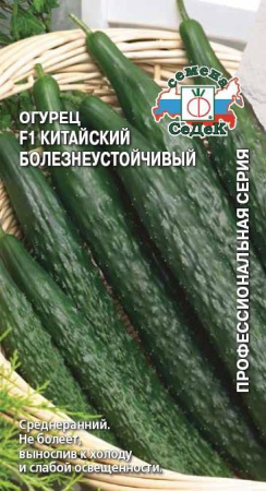 китайский болезнеустойчивый