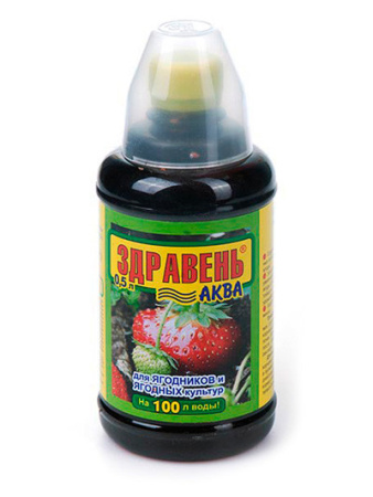 здравень аква клубника 0.5