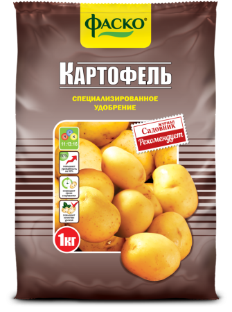 картофель 1кг
