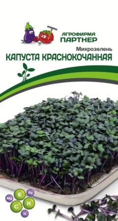 1428