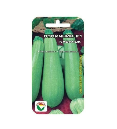 otlichnik