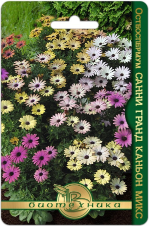 58391ABA-218B-428B-B153-24D41289F68F