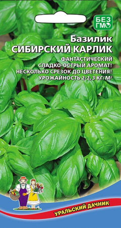 bazilik-sibirskiy-karlik