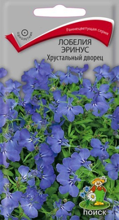 лобелия хрустальный дворец поиск