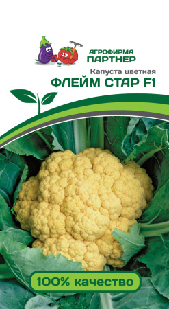 ФЛЕЙМ СТАР