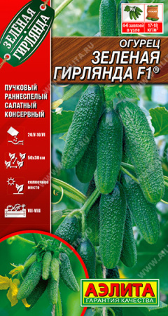 зеленая гирлянда