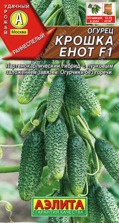 крошка енот