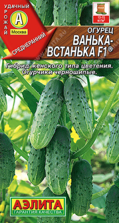 ванька-встанька