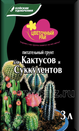 IMG-0040