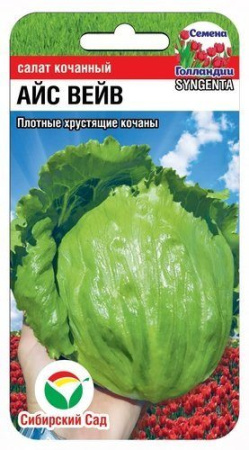 243