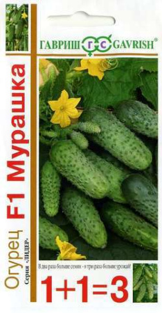 1458