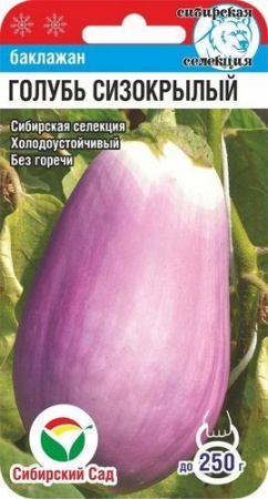 голубь
