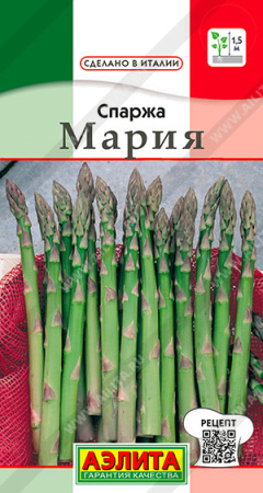 Спаржа Мария аэлита