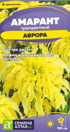 426